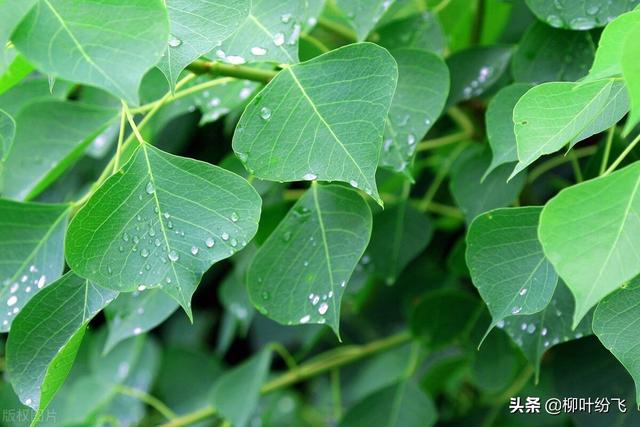 在逆境中要看到生活的美，在希望中别忘记要不断奋斗