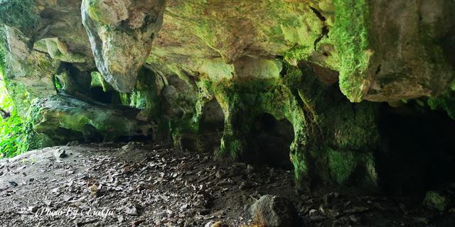 波多黎各之旅（四）遊風洞（CuevaVentana）奇遇世外桃源