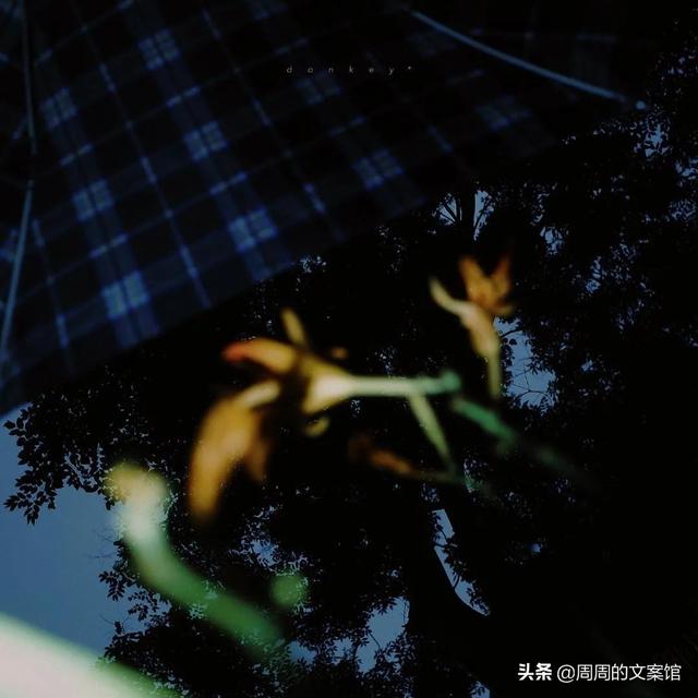 可以被称为emo天花板的高级感文案