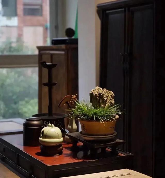 散文：余生，静而不争