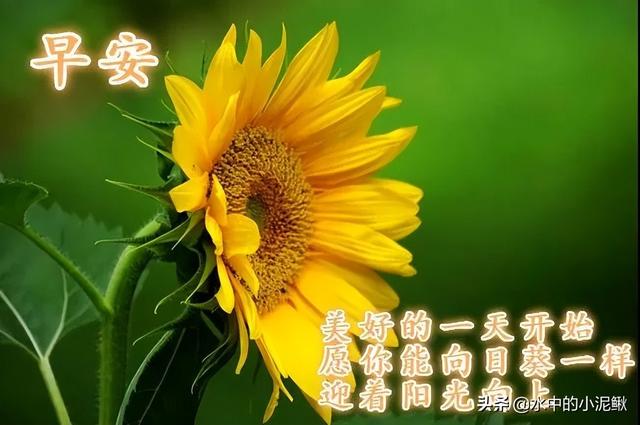 微信朋友圈早安正能量短句分享，句句精辟