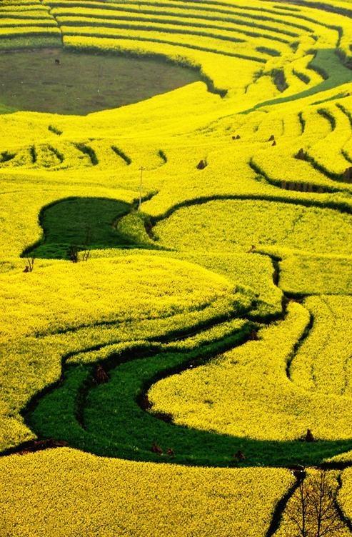 散文：即使生活一地鸡毛，能够保持好心态就是幸福