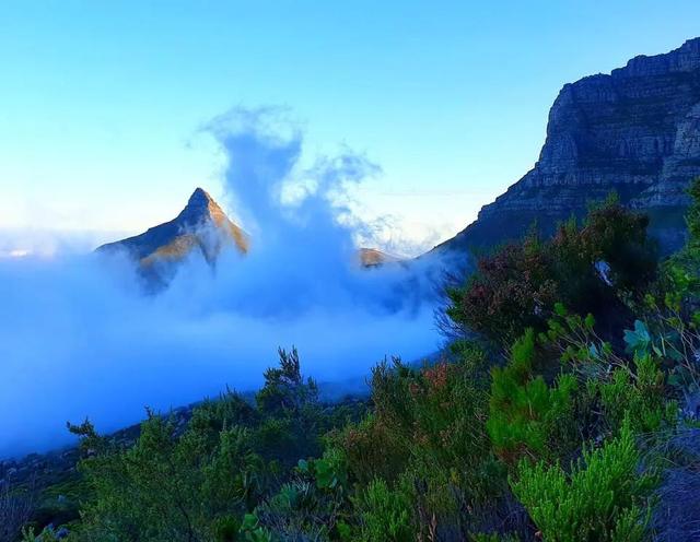 南非桌山的介绍(南非桌山在哪个城市)