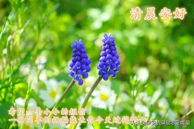 朋友圈早安唯美语录短句，新的一天，新的起点，美好的一天开始了