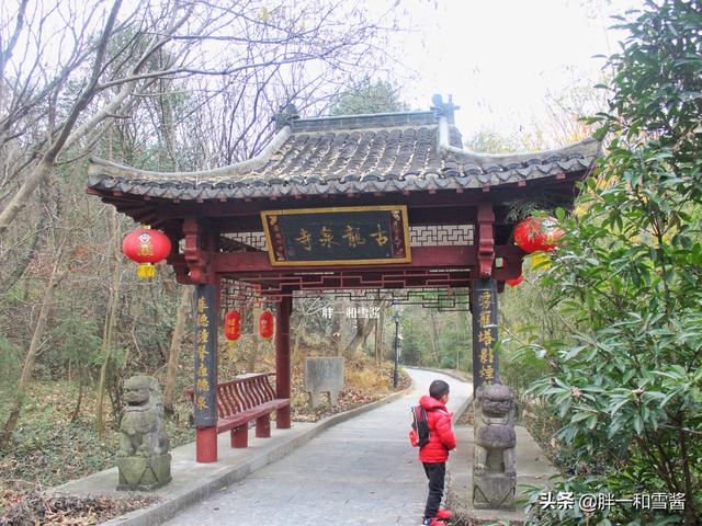 金陵南郊三大名泉之龙泉在哪 1300年古寺 一株唐梅树下参禅修行 太阳信息网