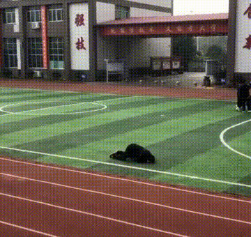 5年前心被萌化，5年后肺被气炸：看完10张爸爸带娃对比图，想生了