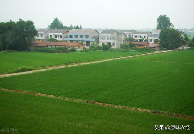 确权颁证固化了土地权利、新增人口无地可承包了吗？