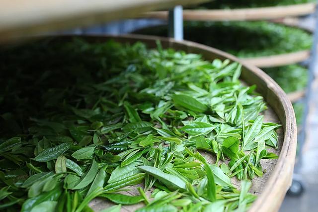 开封酒过滤机有哪些