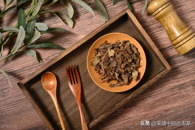 身困体乏湿气重？讲一味薏苡仁，健脾祛湿，给你的身体祛祛湿