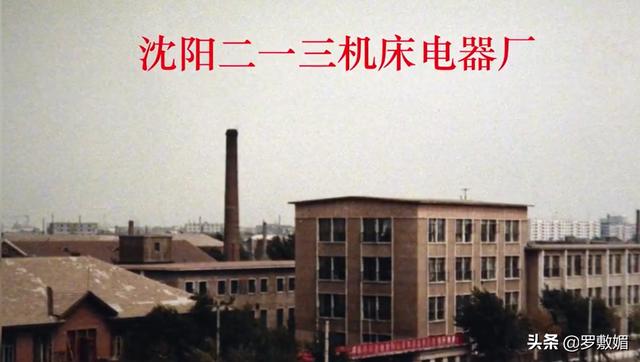 毛主席视察工厂，全厂工人都不开口，只有一人大喊：毛主席好