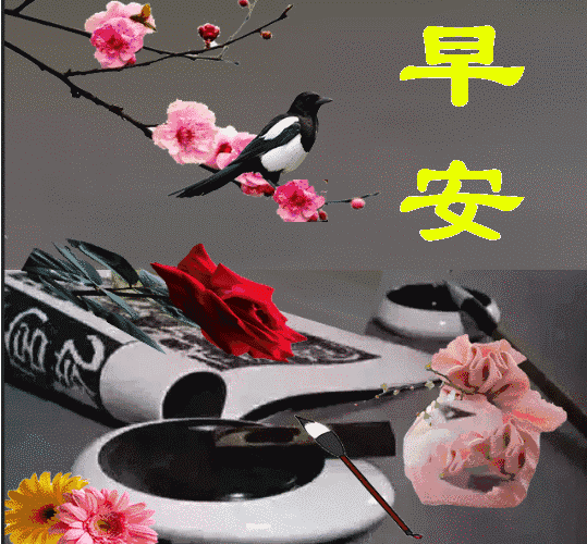 2月26日星期六正月初一早上好动态图片是最美的早安问候带文字的图片