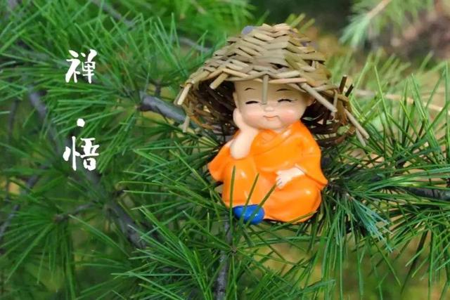 世事无常，人生有定，此乃时也、运也、命也