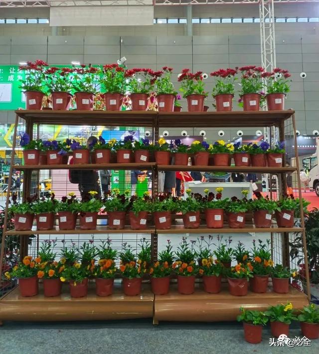 进口园林机械展