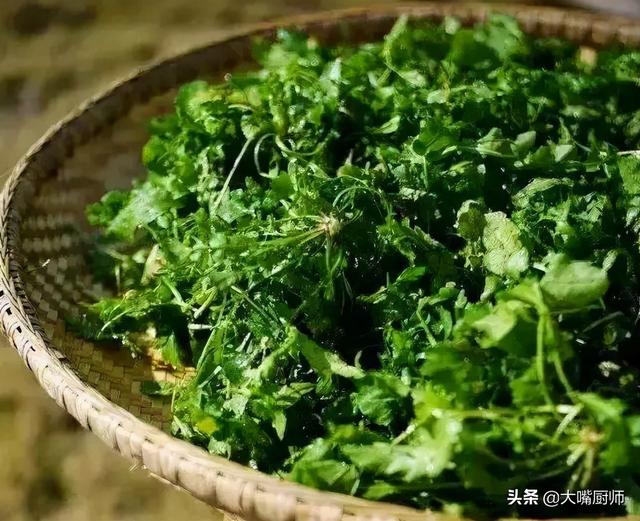 春分后，别忘了吃这种野菜，钙是牛奶4倍，分享2个做法，好吃营养