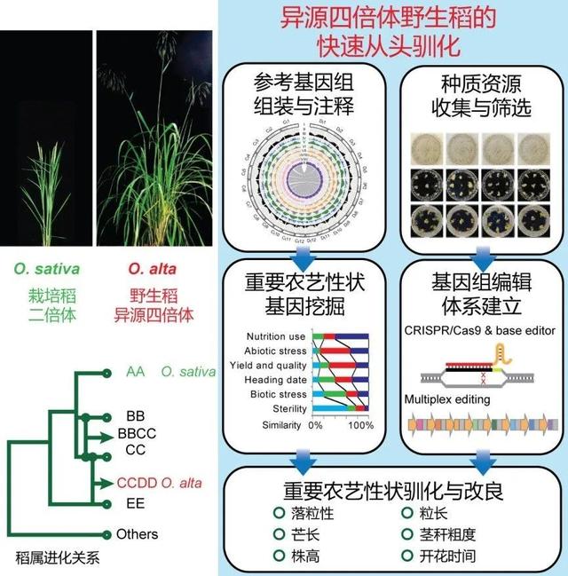 合肥洗砂机厂