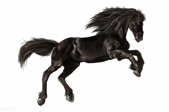 守宫门的神龟及虾兵蟹将一齐阻挡,天马恼羞成怒,飞腿踢死了神桂,此事