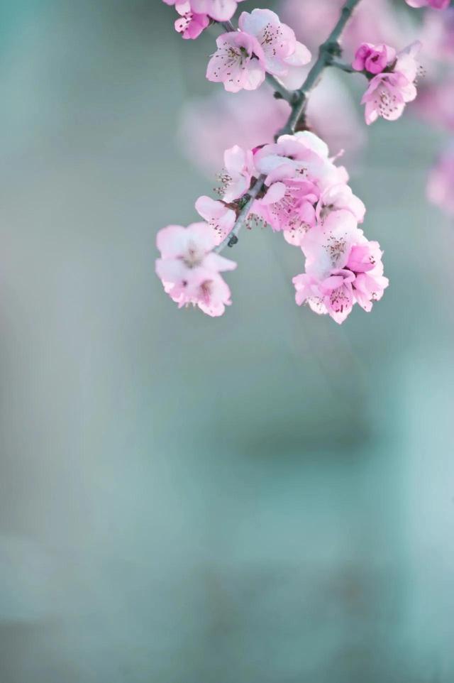 散文：抖落岁月的尘埃，守一份清明，得一份简静
