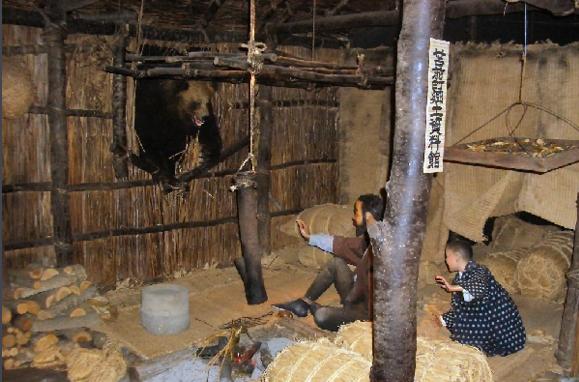 日本网友分享遇熊经历 殊死搏斗后逃生还顺带赚了一笔 新闻时间