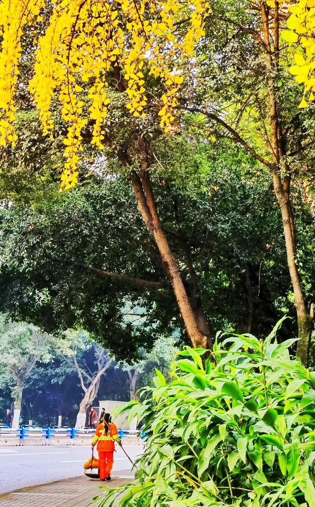 文章图片3