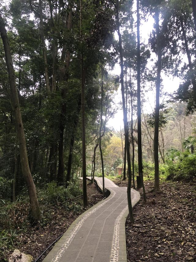 一不小心又成了夜遊~周末街子古鎮康道徒步到光嚴禅院~腳都走麻了