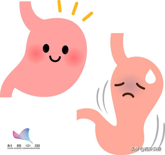 吃饱后该躺着、坐着，还是站着？医生的回答来了