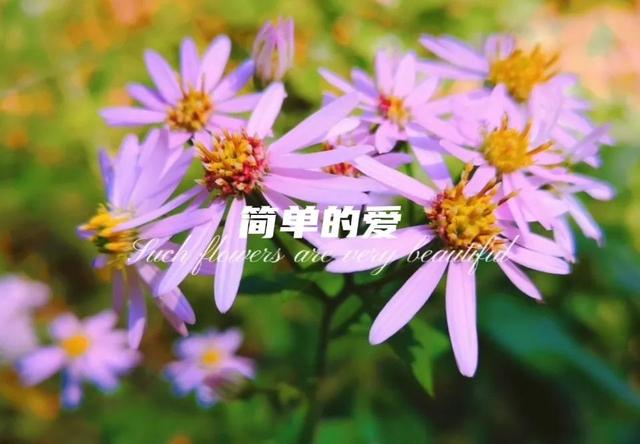 你最喜欢的事？#如何用一句话表示你很富有#