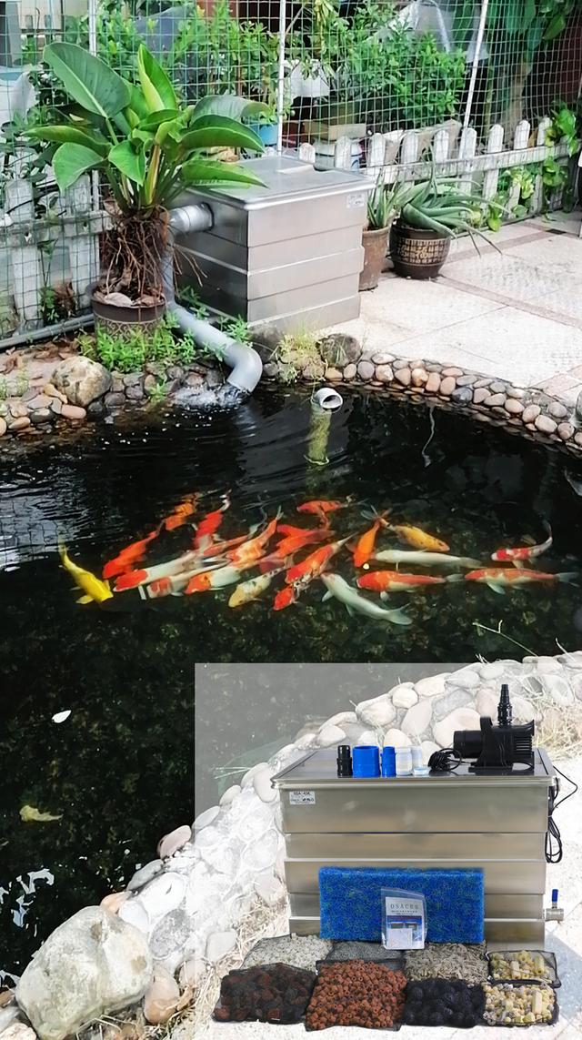 滚筒式鱼池过滤机结构图