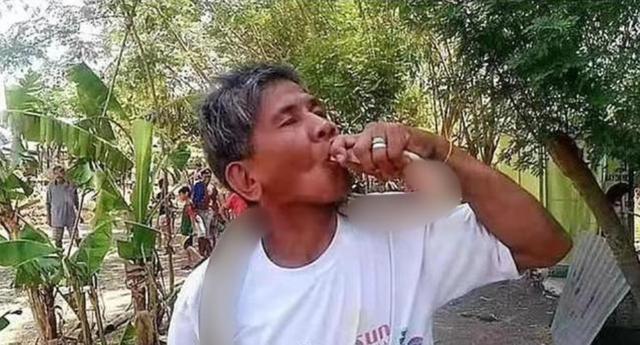 蛇越来越多？3米14斤大胖眼镜蛇钻车里被卡住，遇到蛇能不能打？