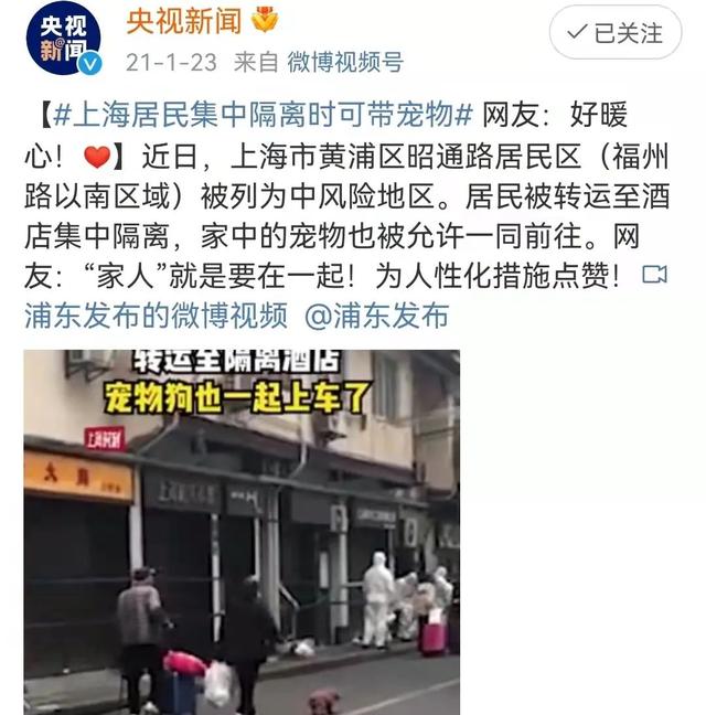 “确诊后，我的猫就要被人道销毁？”