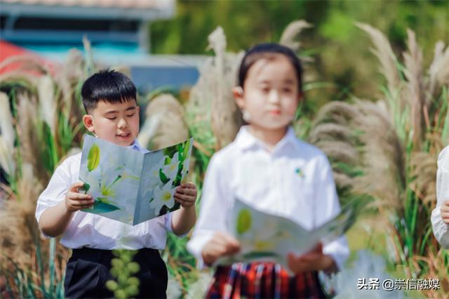 赏一片花海，读一本好书，这个“花园书房”太美妙了！