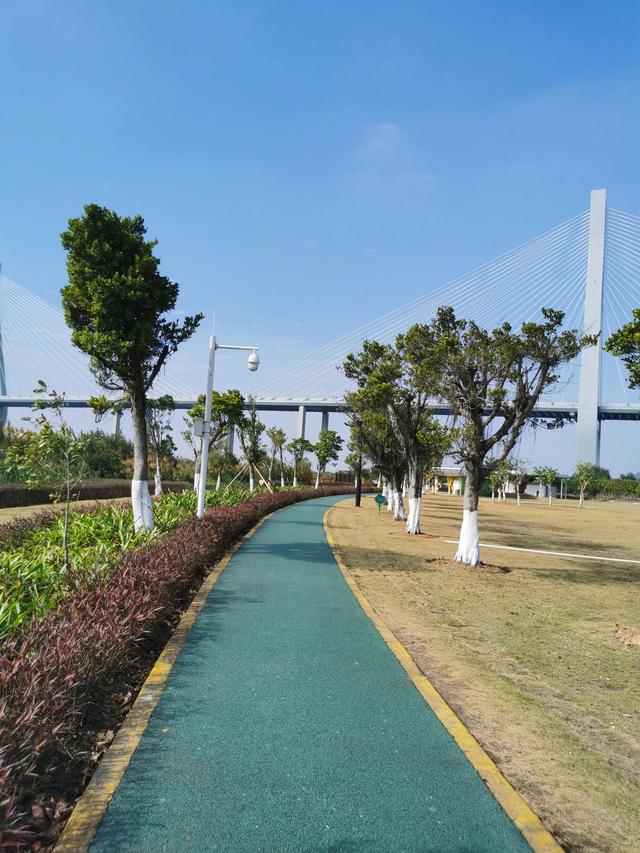 珠海橫琴芒洲溼地公園(橫琴溼地公園最新消息)