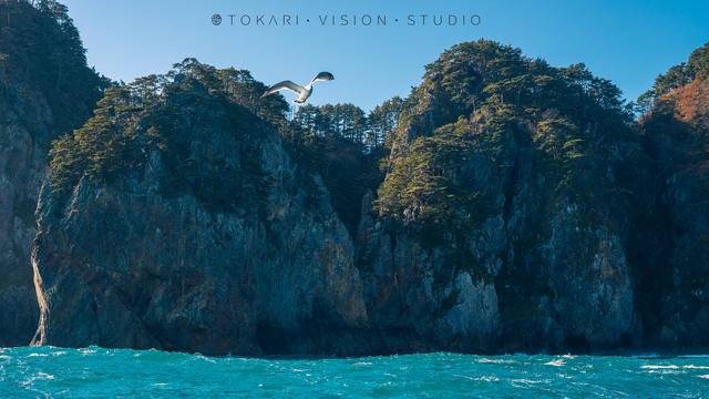 逛逛日本｜三陸海岸懸崖邊上的浪漫