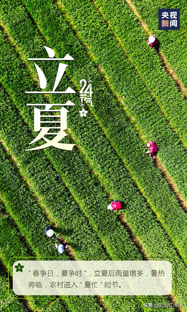 你好，夏天