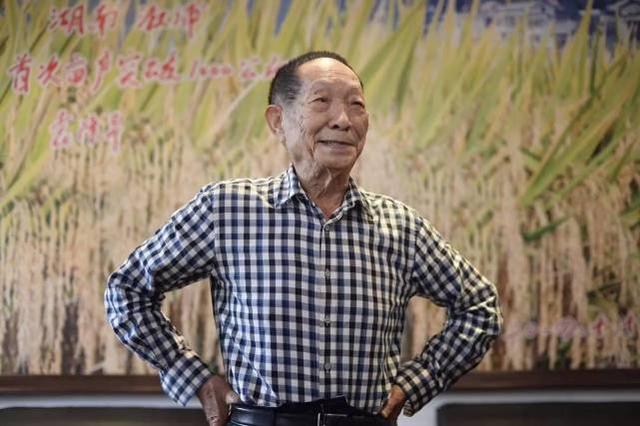 为什么诺贝尔奖这么多年未提名袁隆平？成果造福世界，却败给现实