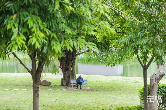 深圳露营