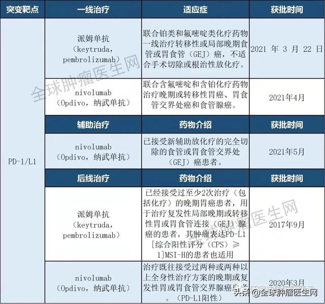 中國胃癌發病率全球第一！“中國式”胃癌究竟該如何治療