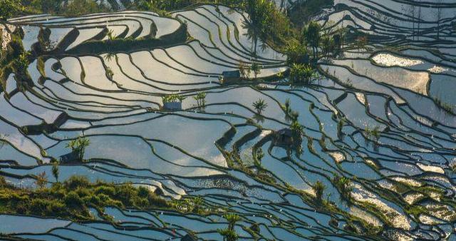 人类学教授：日本人的发源地是中国云南，云南人是日本人的祖先