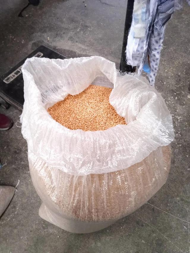 包含破碎机怎么磨面粉的词条