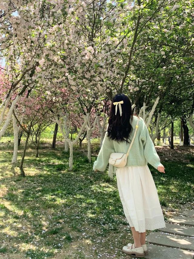 白茶清欢无别事，我在等风也等你