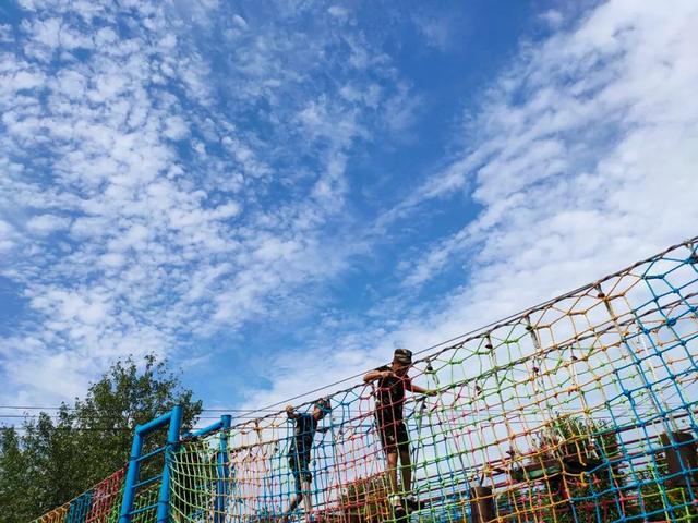 少年特训学校(少年特训学校费用)(图37)