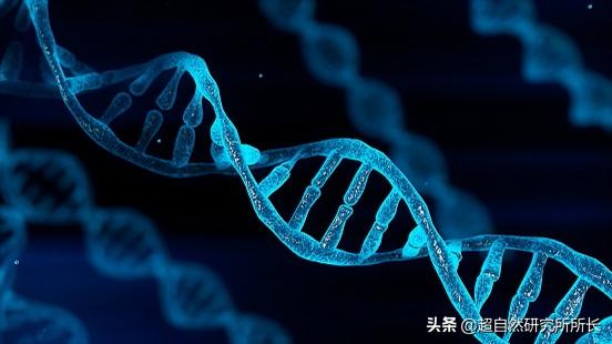 如果把地球的一生浓缩成一天，会发生什么？超出你想象的地球故事