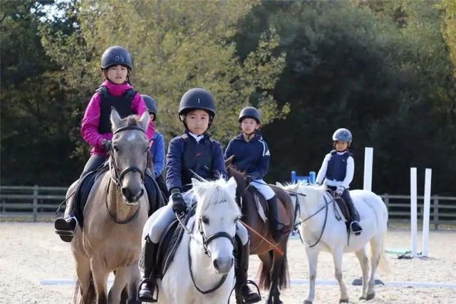 营地教育，正在成为孩子成长的必备能量