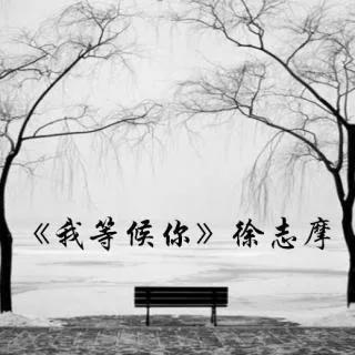 来自文学作家的浪漫