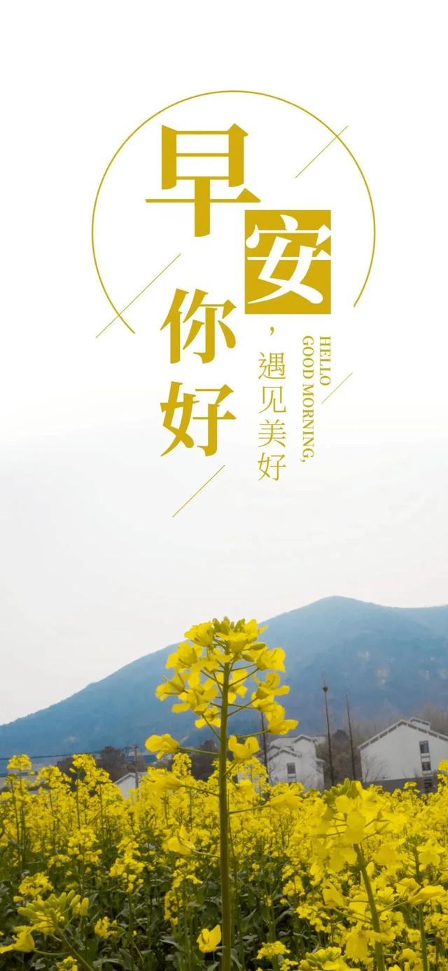 每一个清晨，都值得期待