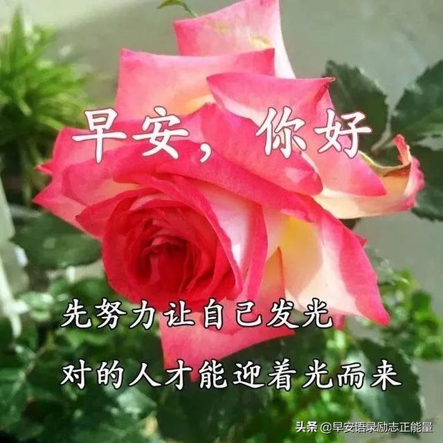 早上起床最火爆的励志早安心灵鸡汤语录，励志心灵鸡汤分享