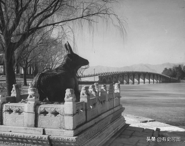 1946年的紫禁城外停滿了汽車，太和殿上放著袁世凱的西洋寶座