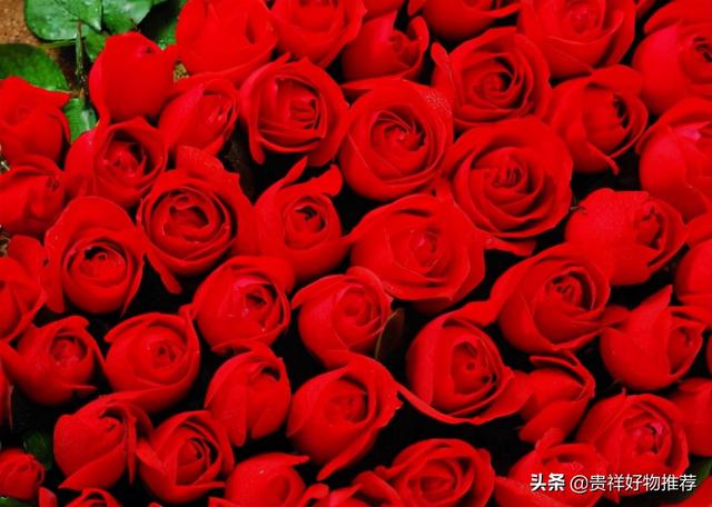 97数字代表什么意思