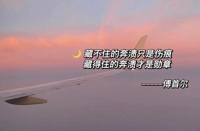 傅首尔人间清醒语录，送给每个女孩子