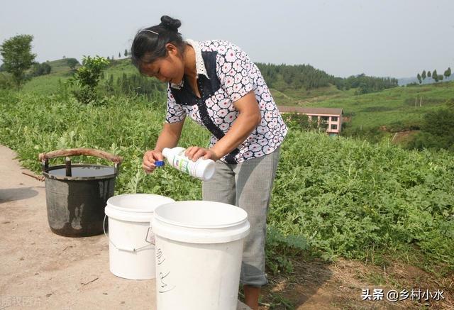 喷叶面肥、除草剂、杀虫剂、杀菌剂，学会加点有机硅，防效更好9