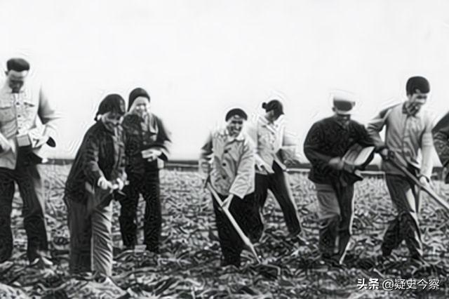 1954年，黑龙江一男子在妻子被害后，竟与杀妻凶手同床共枕52天